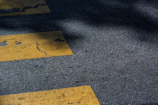 textura-cruce-cebras